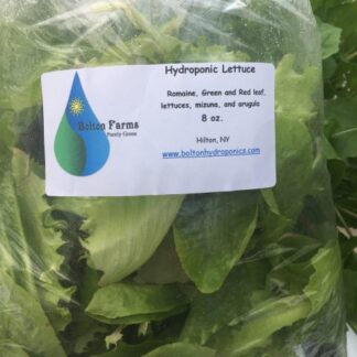 Spring Mix