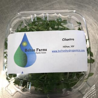 Clipped Cilantro